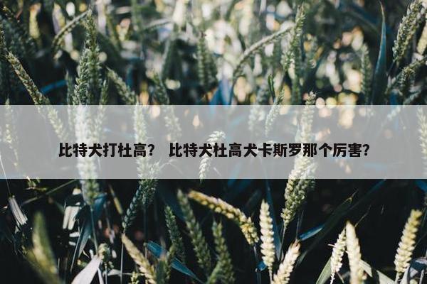比特犬打杜高？ 比特犬杜高犬卡斯罗那个厉害？