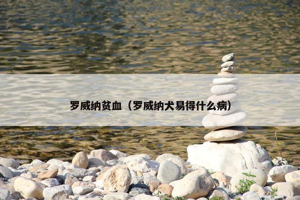 罗威纳贫血（罗威纳犬易得什么病）