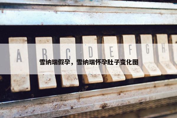 雪纳瑞 第12页