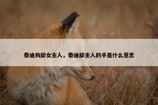泰迪狗舔女主人，泰迪舔主人的手是什么意思