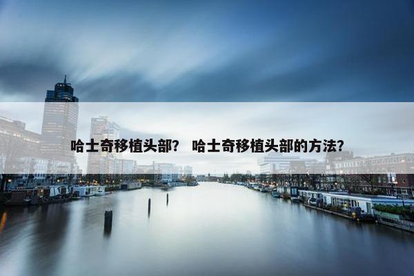 鼹鼠