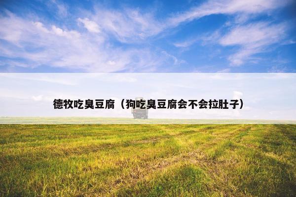 德牧吃臭豆腐（狗吃臭豆腐会不会拉肚子）