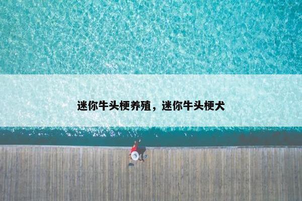 牛头梗 第9页