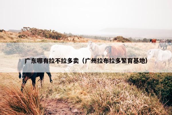 广州