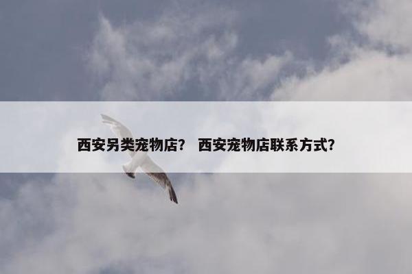 小宠