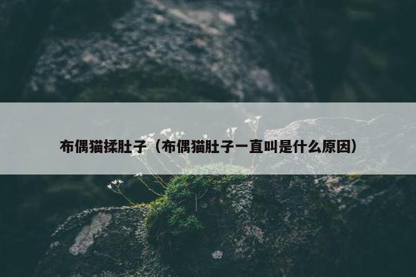 布偶猫 第10页