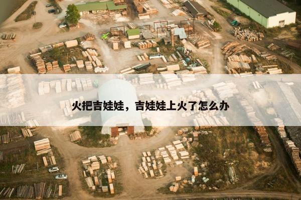 火把吉娃娃，吉娃娃上火了怎么办