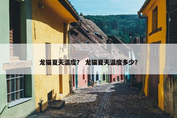 龙猫夏天温度？ 龙猫夏天温度多少？