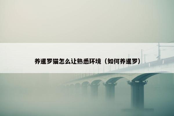 养暹罗猫怎么让熟悉环境（如何养暹罗）