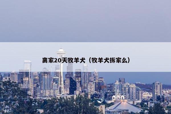 回家