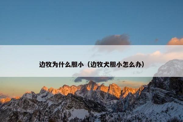 边牧为什么胆小（边牧犬胆小怎么办）