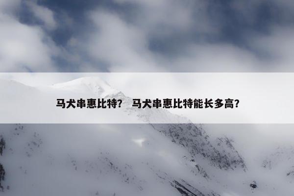 马犬串惠比特？ 马犬串惠比特能长多高？