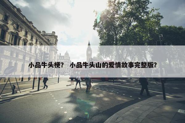 小品牛头梗？ 小品牛头山的爱情故事完整版？