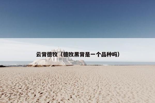 根部