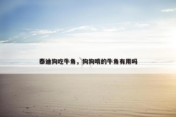 泰迪狗吃牛角，狗狗啃的牛角有用吗