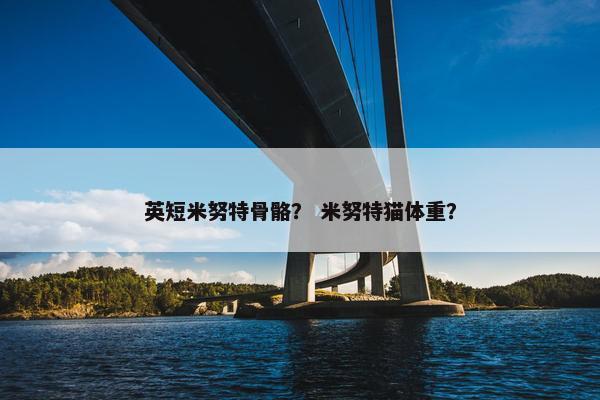 米努特
