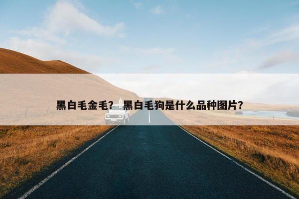 黑白毛金毛？ 黑白毛狗是什么品种图片？