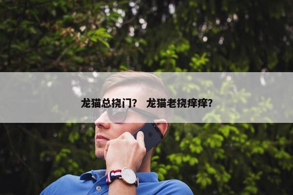 龙猫总挠门？ 龙猫老挠痒痒？