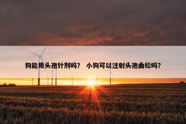 头孢