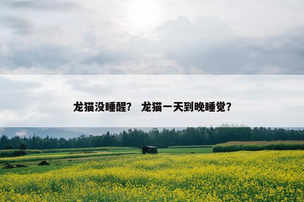 龙猫 第10页
