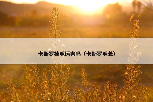 卡斯罗 第9页