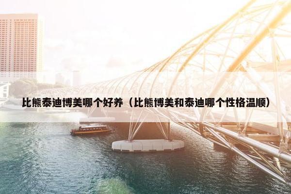 比熊泰迪博美哪个好养（比熊博美和泰迪哪个性格温顺）