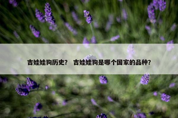 墨西哥