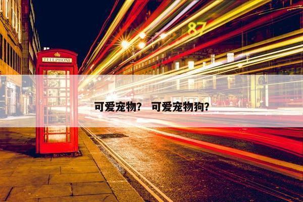 可爱宠物？ 可爱宠物狗？