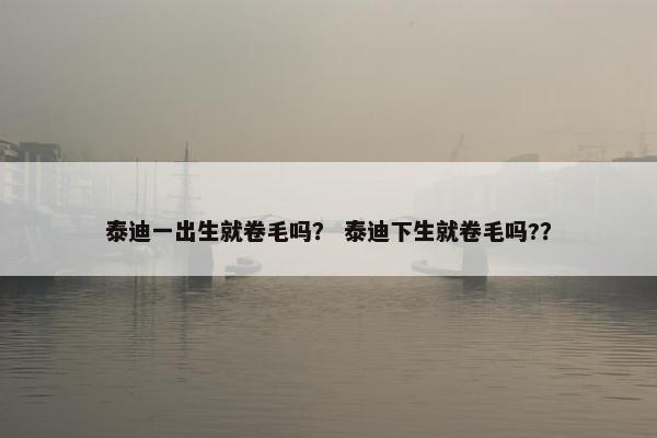 泰迪一出生就卷毛吗？ 泰迪下生就卷毛吗?？