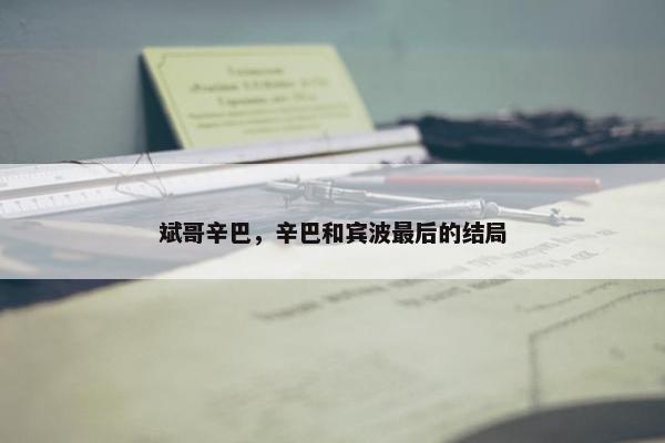 斌哥辛巴，辛巴和宾波最后的结局