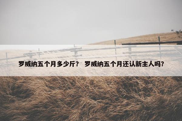 罗威纳 第9页