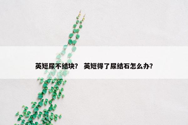 加菲猫