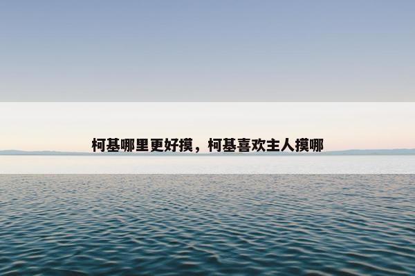 抚摸