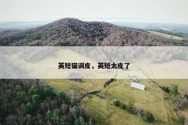 调皮