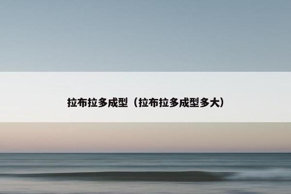 成型