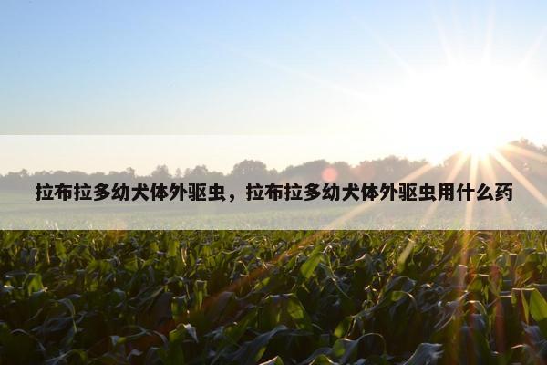 体外