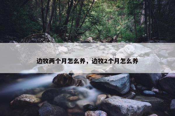 两个