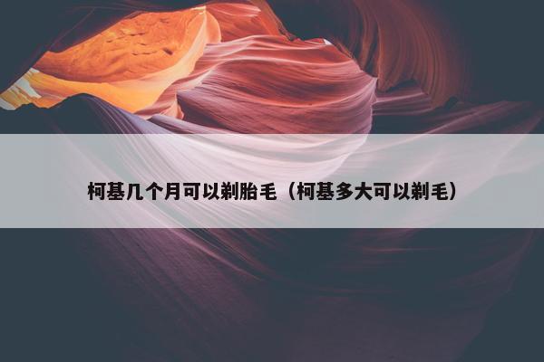 胎毛 第2页