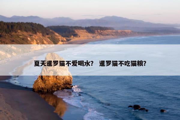 夏天暹罗猫不爱喝水？ 暹罗猫不吃猫粮？
