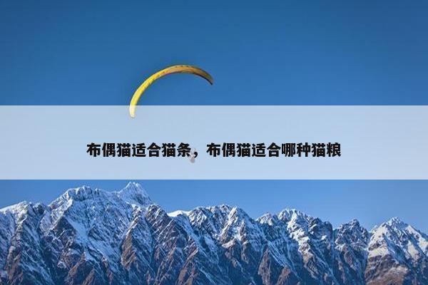 布偶猫适合猫条，布偶猫适合哪种猫粮