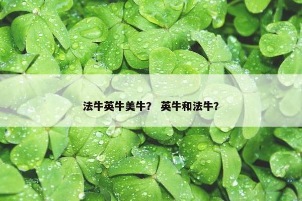 法牛英牛美牛？ 英牛和法牛？