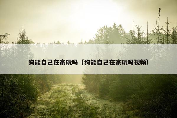 在家