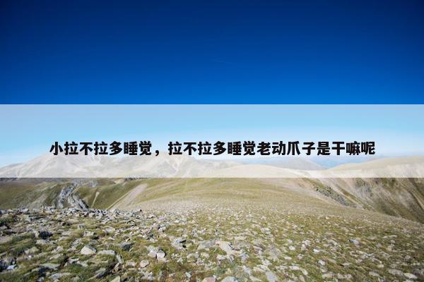 小拉不拉多睡觉，拉不拉多睡觉老动爪子是干嘛呢