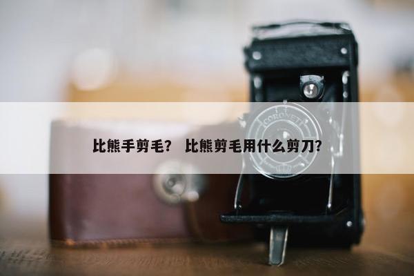 比熊手剪毛？ 比熊剪毛用什么剪刀？