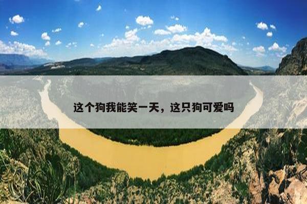 这个狗我能笑一天，这只狗可爱吗