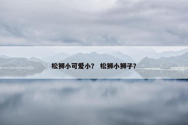 松狮小可爱小？ 松狮小狮子？