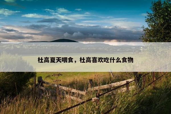 杜高夏天喂食，杜高喜欢吃什么食物