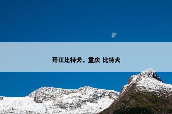 比特犬 第8页