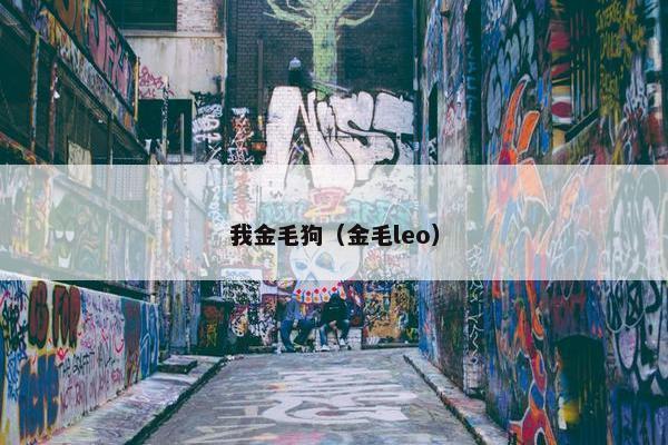 我金毛狗（金毛leo）
