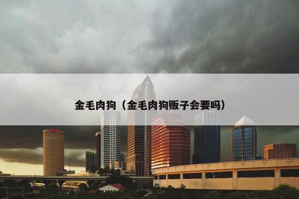 金毛 第10页